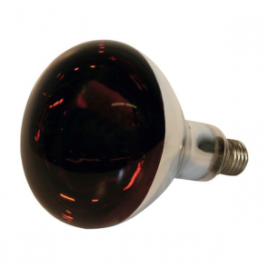 Kerbl 222448